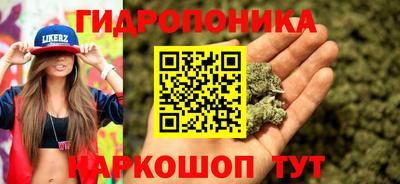 ALPHA PVP Будённовск