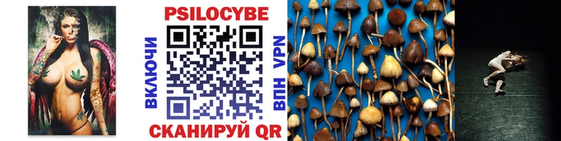 Галлюциногенные грибы Psilocybine cubensis площадка клад Нововоронеж мега ссылки