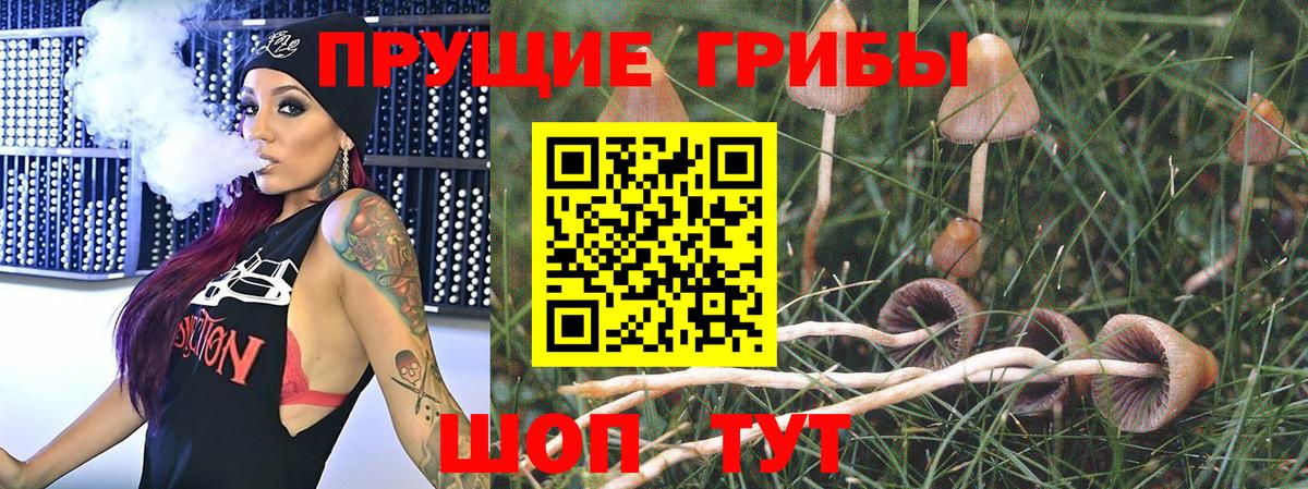 Псилоцибиновые грибы GOLDEN TEACHER Нововоронеж