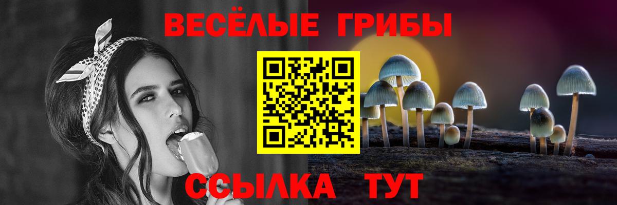 Псилоцибиновые грибы мухоморы  Вход с VPN  Нововоронеж 