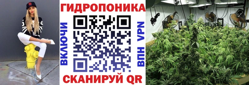 Каннабис ГИДРОПОН  как найти   Нововоронеж 